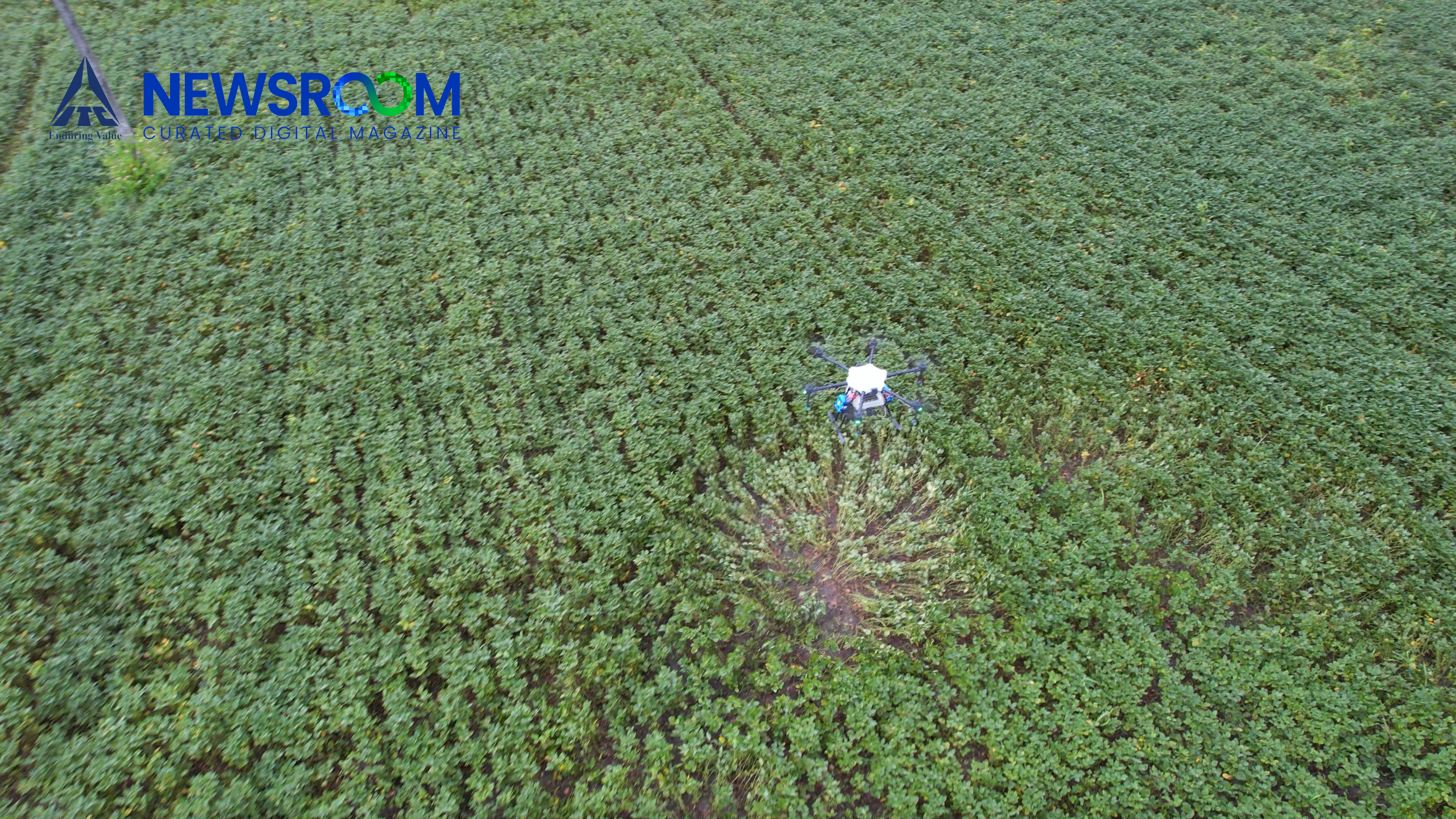 Top Dressing of Innovation