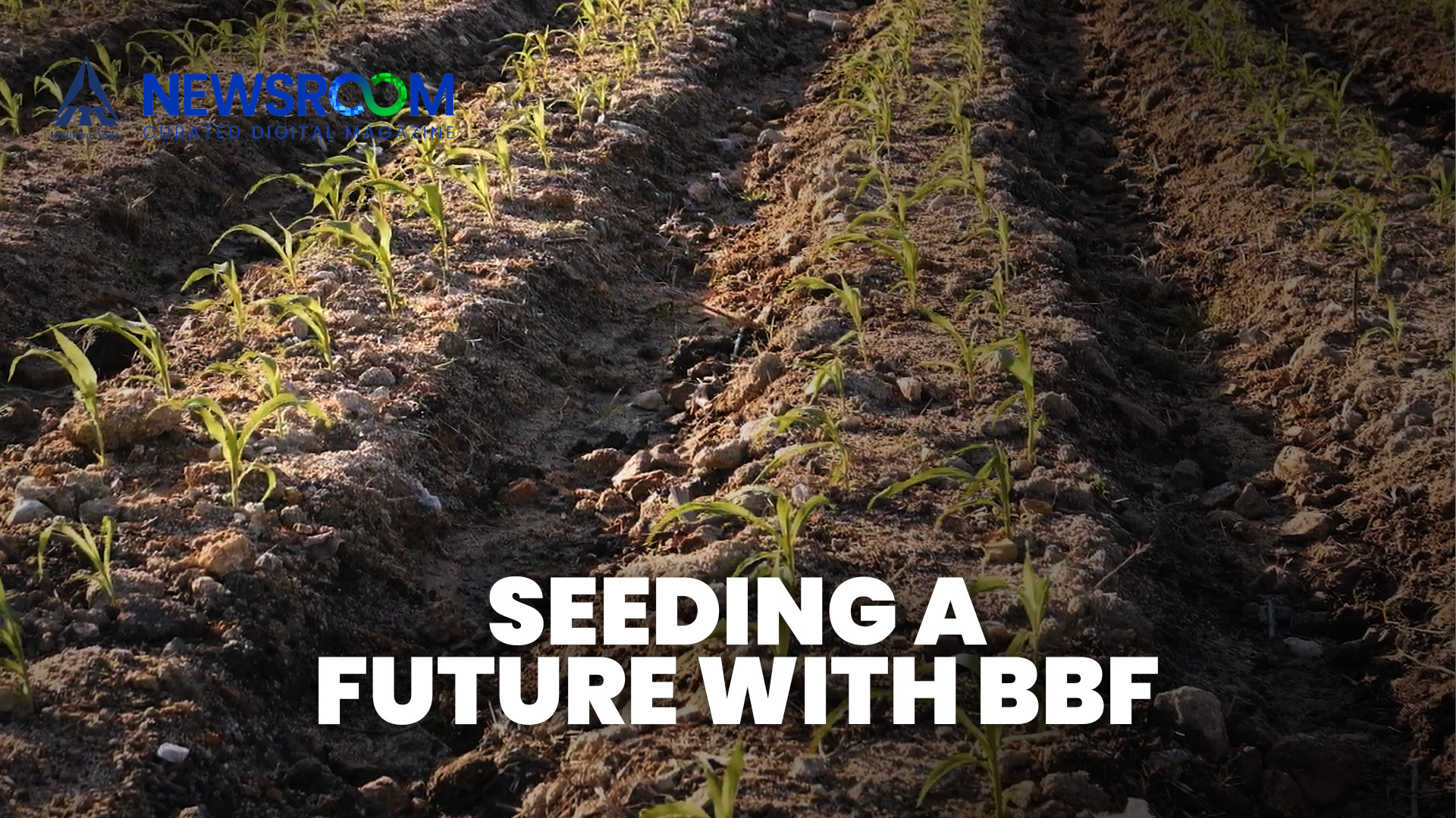 BBF: Sustainable Farming in India's Soybean Country